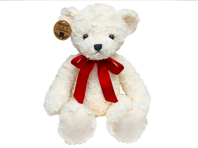 泰迪熊毛公仔 - Barnes & Coleman 经典白色 Teddy Bear - L98576 Photo